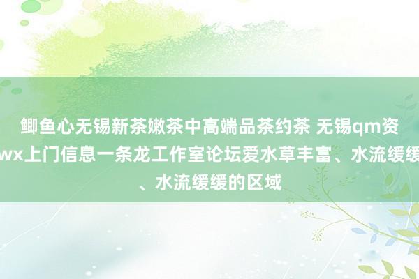 鲫鱼心无锡新茶嫩茶中高端品茶约茶 无锡qm资料站街wx上门信息一条龙工作室论坛爱水草丰富、水流缓缓的区域