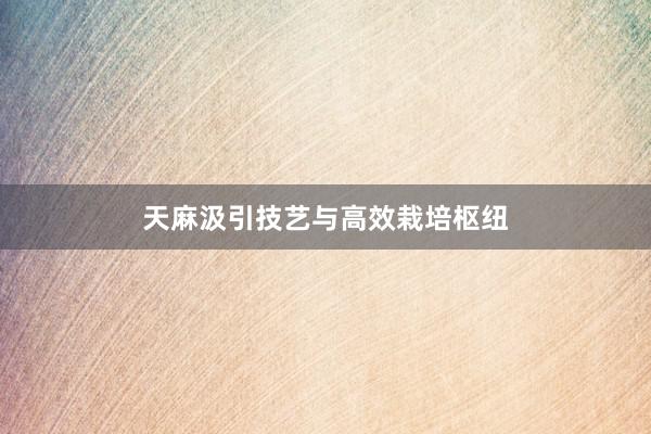 天麻汲引技艺与高效栽培枢纽