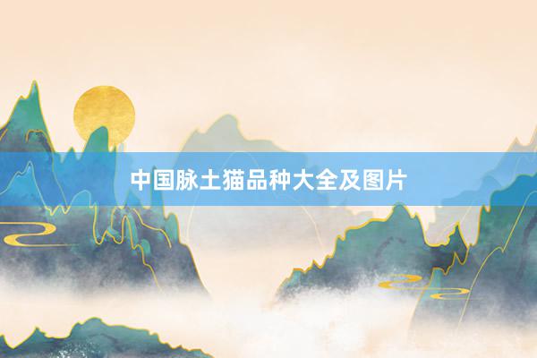 中国脉土猫品种大全及图片